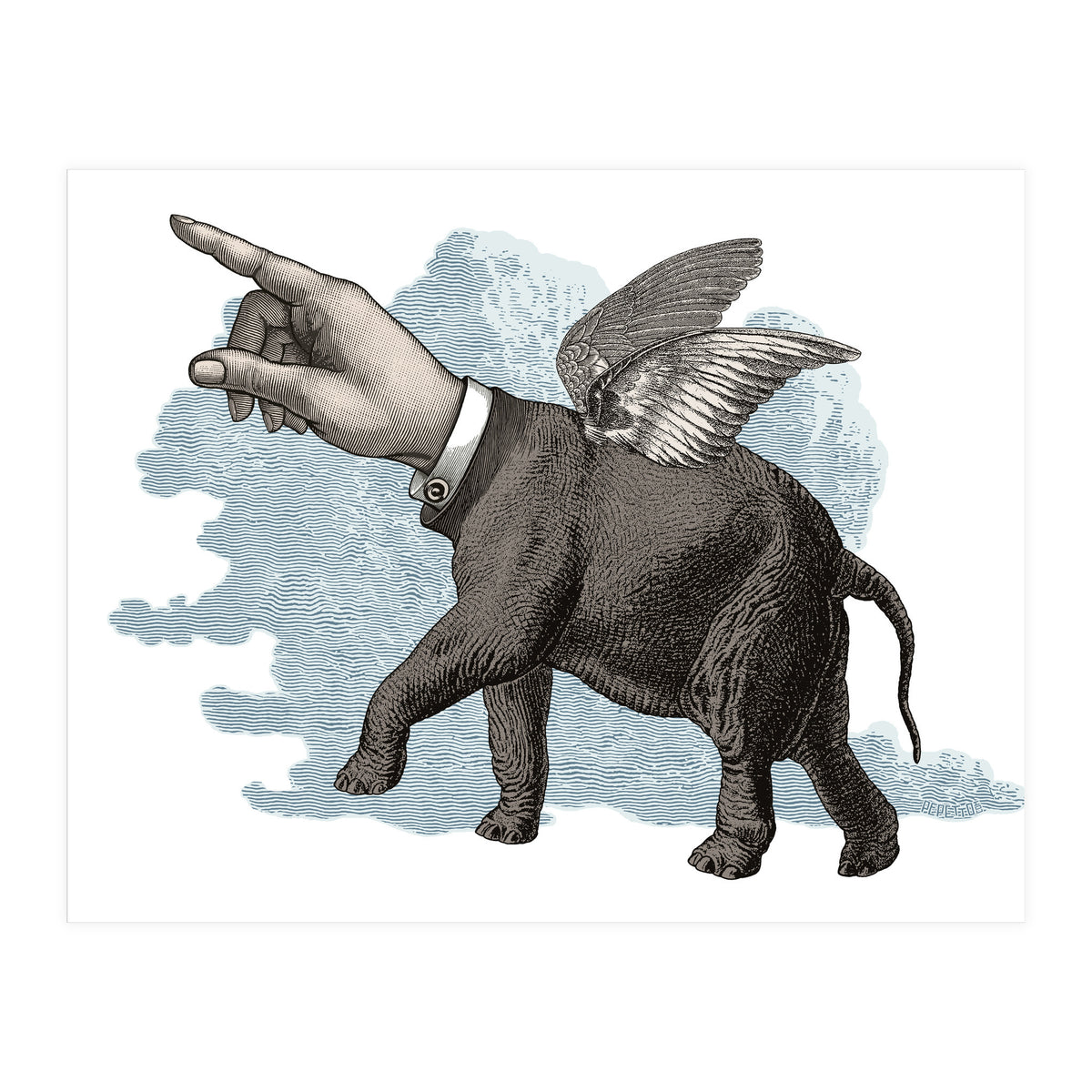 Elephand (Print Only)