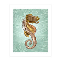 Hippocampus Camerarum (Print Only)