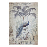 Peacock Jungle (Print Only) thumbnail