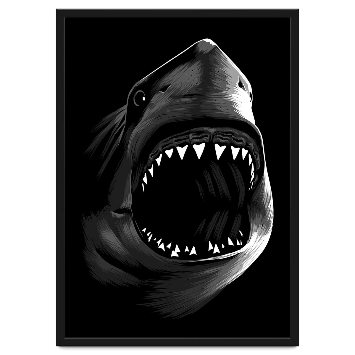 Megalodon