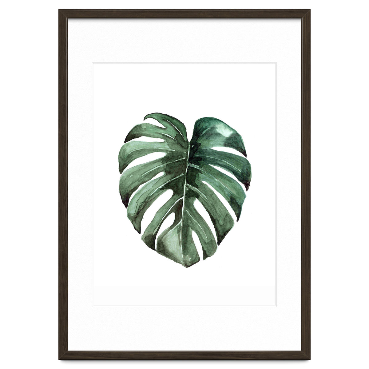 Botanical Illustration Monstera Deliciosa