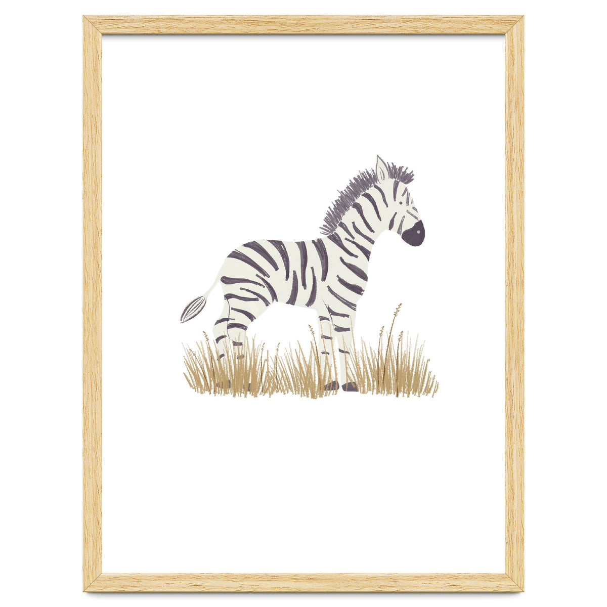 Zebra