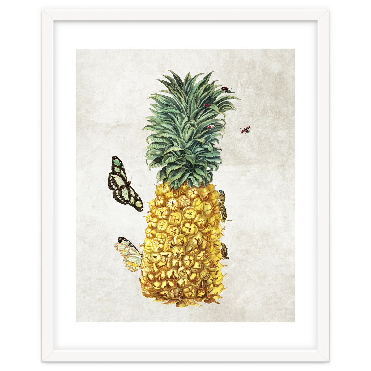 ananas