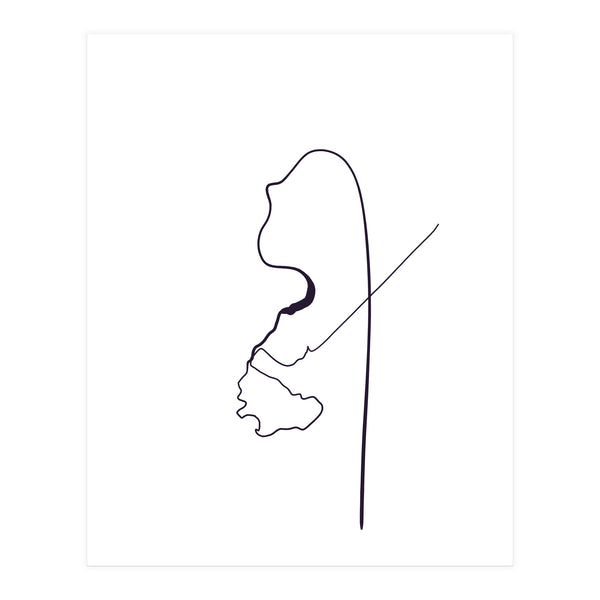 Elevado (Print Only)