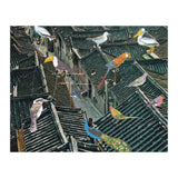 Bird Town (Print Only) thumbnail