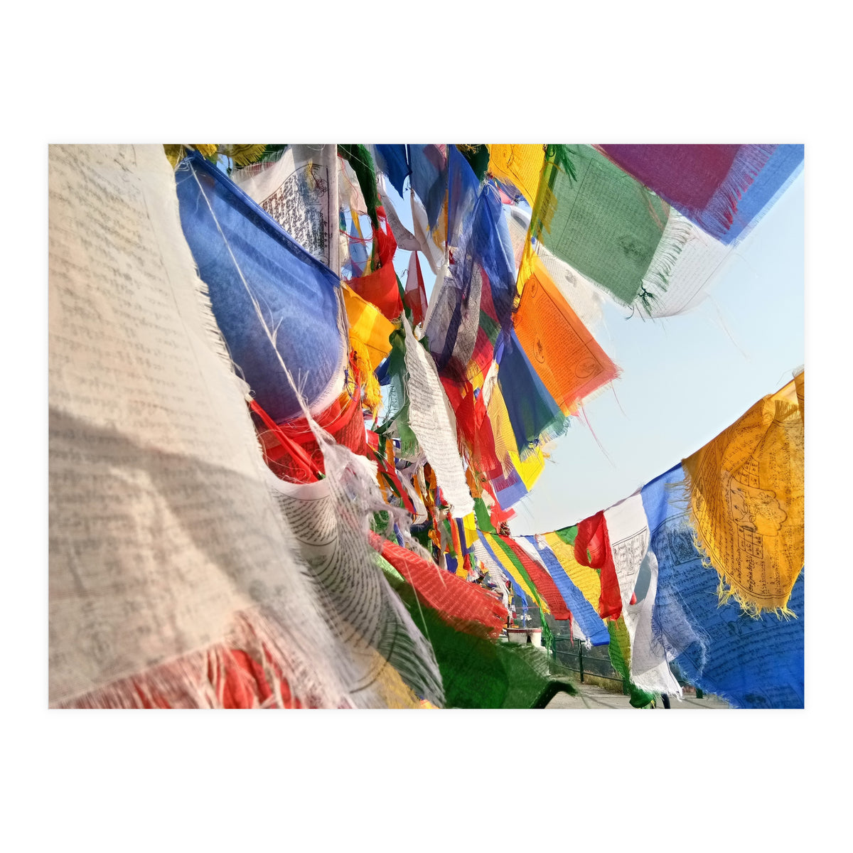 Prayer Flag - Series 2 (Print Only)
