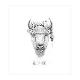 Wild One (Print Only) thumbnail