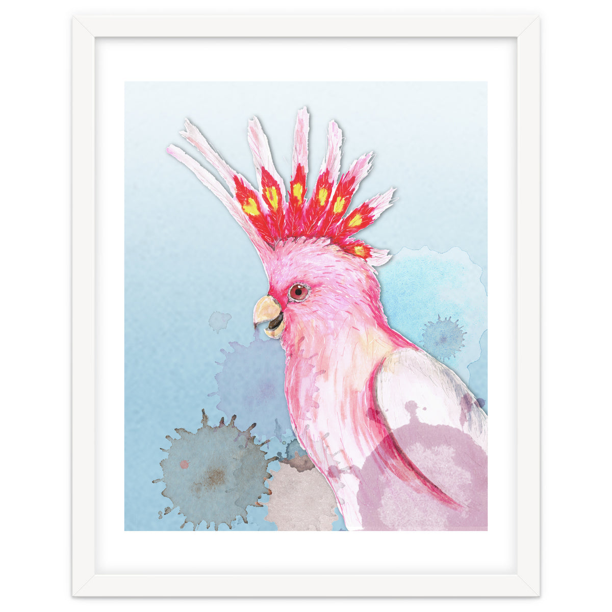 Major Mitchell's cockatoo