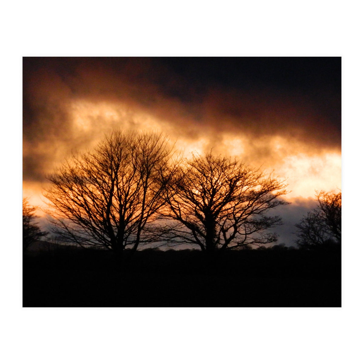 Spring Sunset (Print Only)