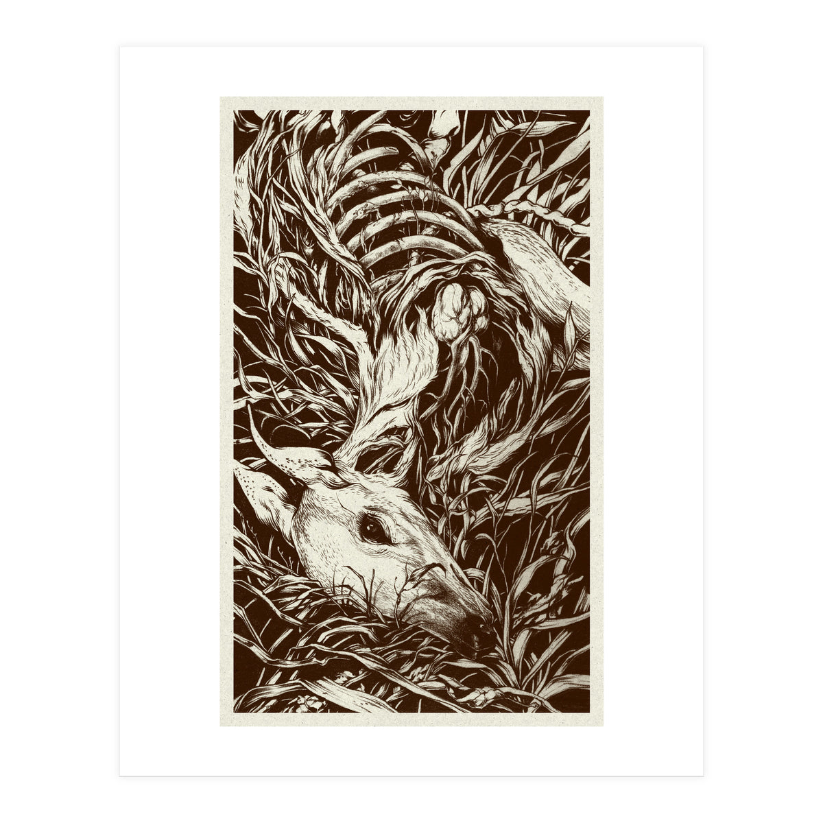 Doeeyed (Print Only)