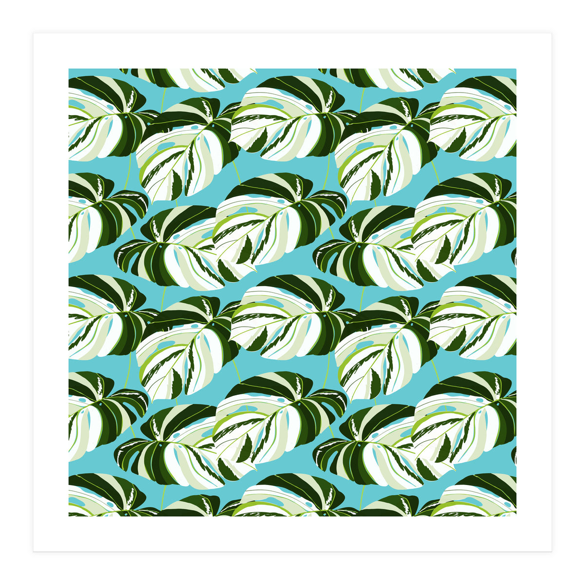 Summer Variegated Monstera | Rainforest Jungle botanical Plants Illustration | Boho Tropical Nature (Print Only)