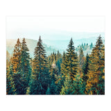 Pine Beauty (Print Only) thumbnail