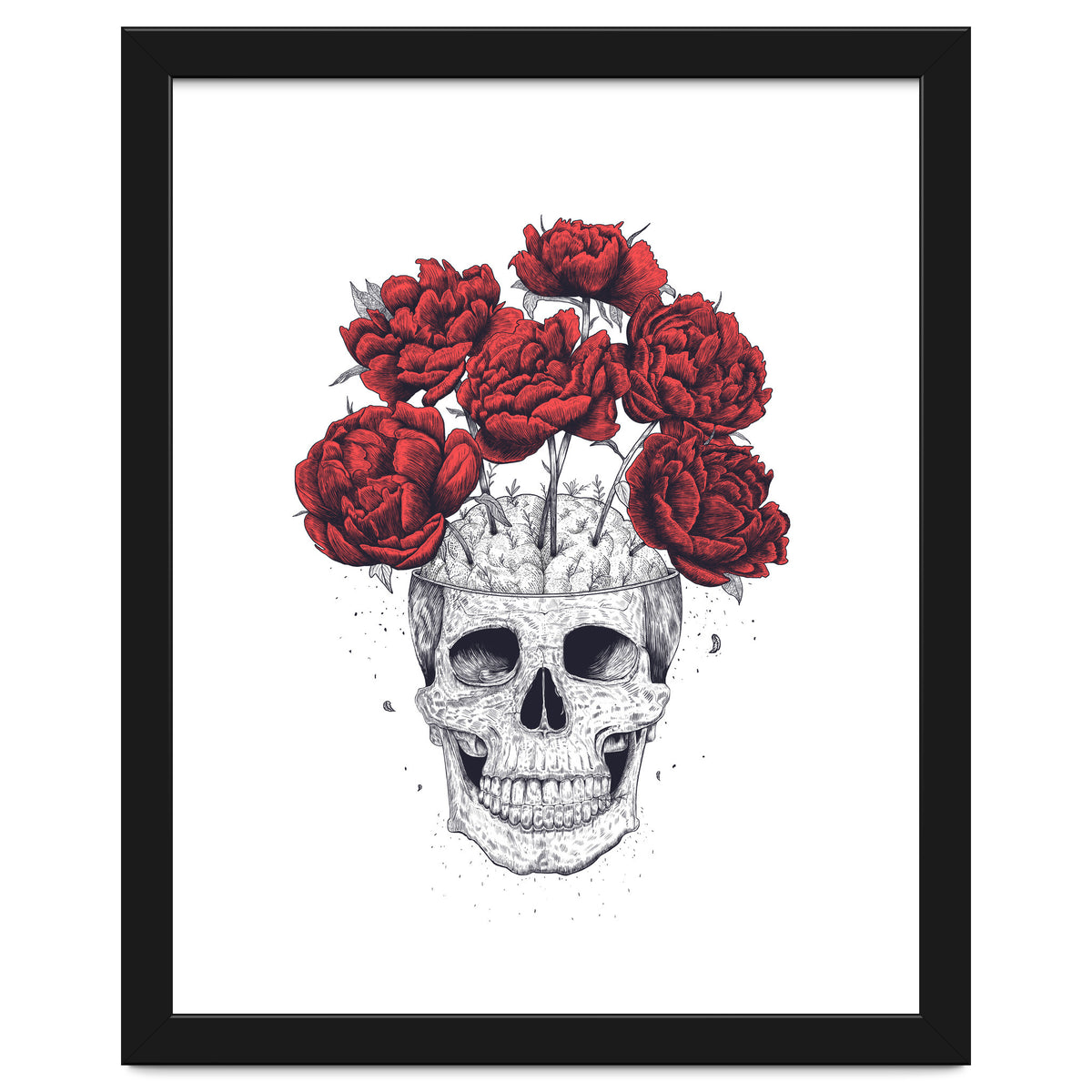 Skull With Peonies