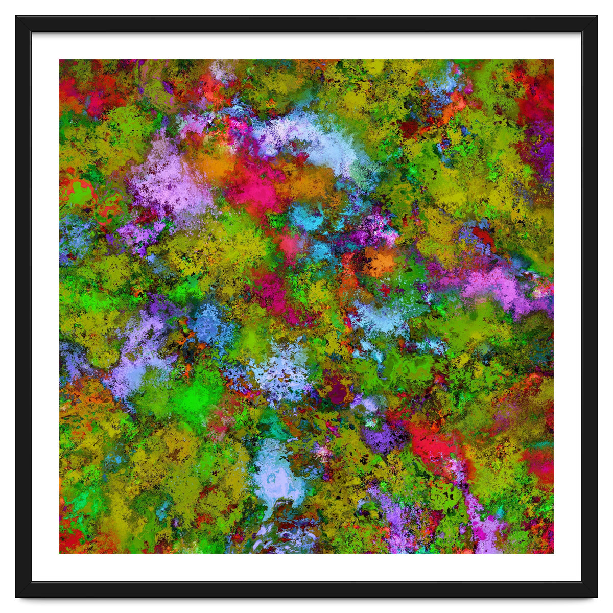 Above The Tree Canopy