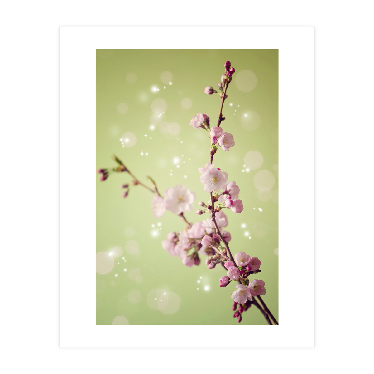 Springtime  (Print Only)