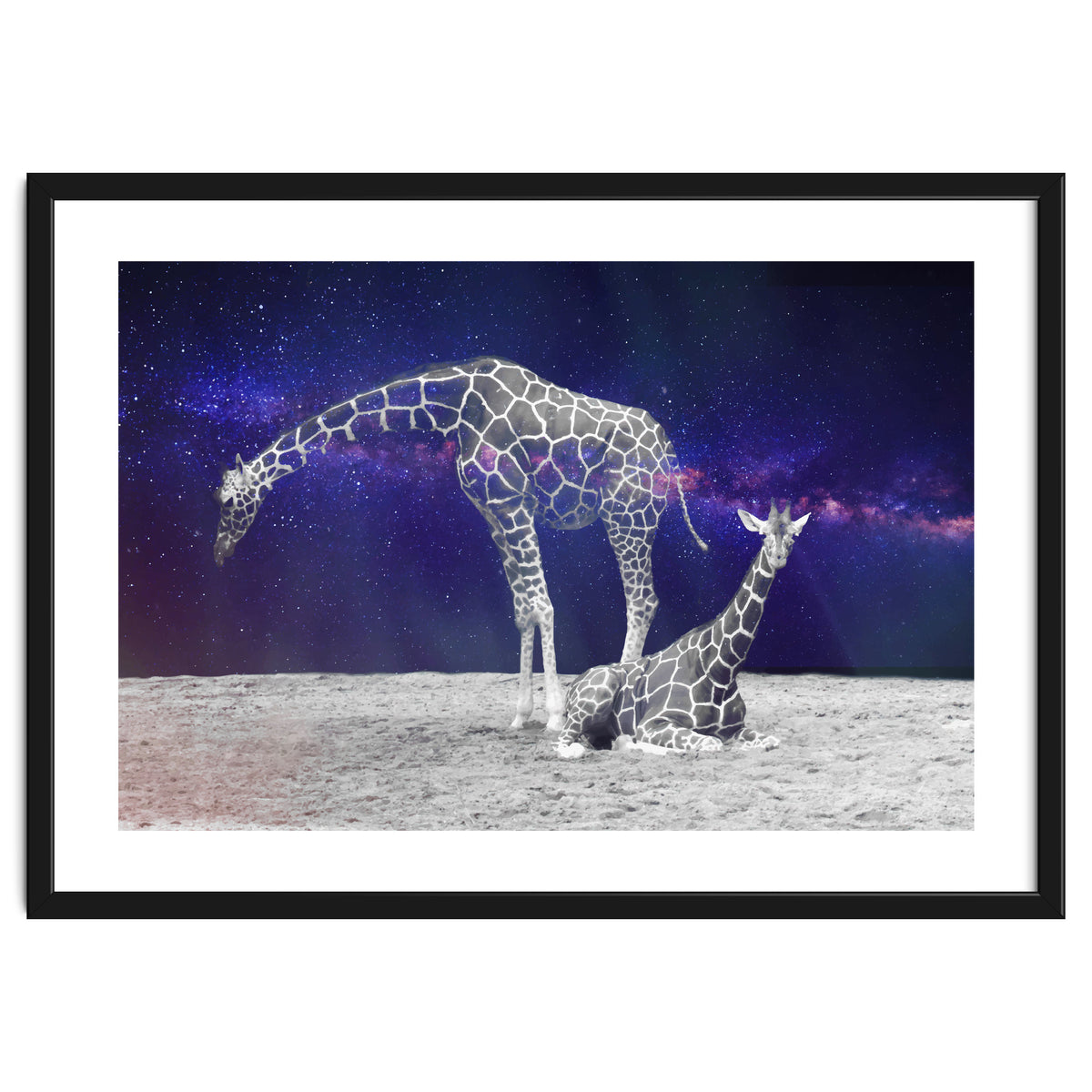 Giraffes on The Moon