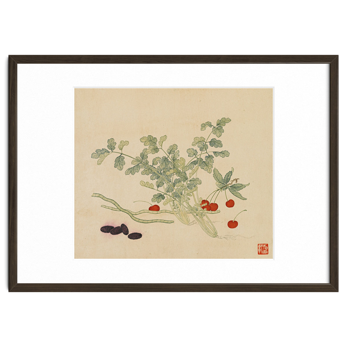 Wang Chengyu~flowers And Vegetables, Vegetables, Fruits, Beans, Red Beans, Cherries, Celery
