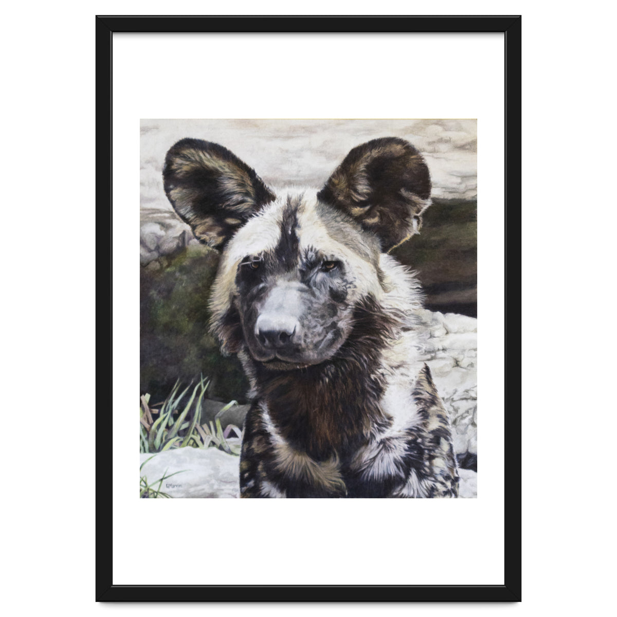 African Painted Dog II