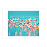Flamboyance (Print Only) thumbnail