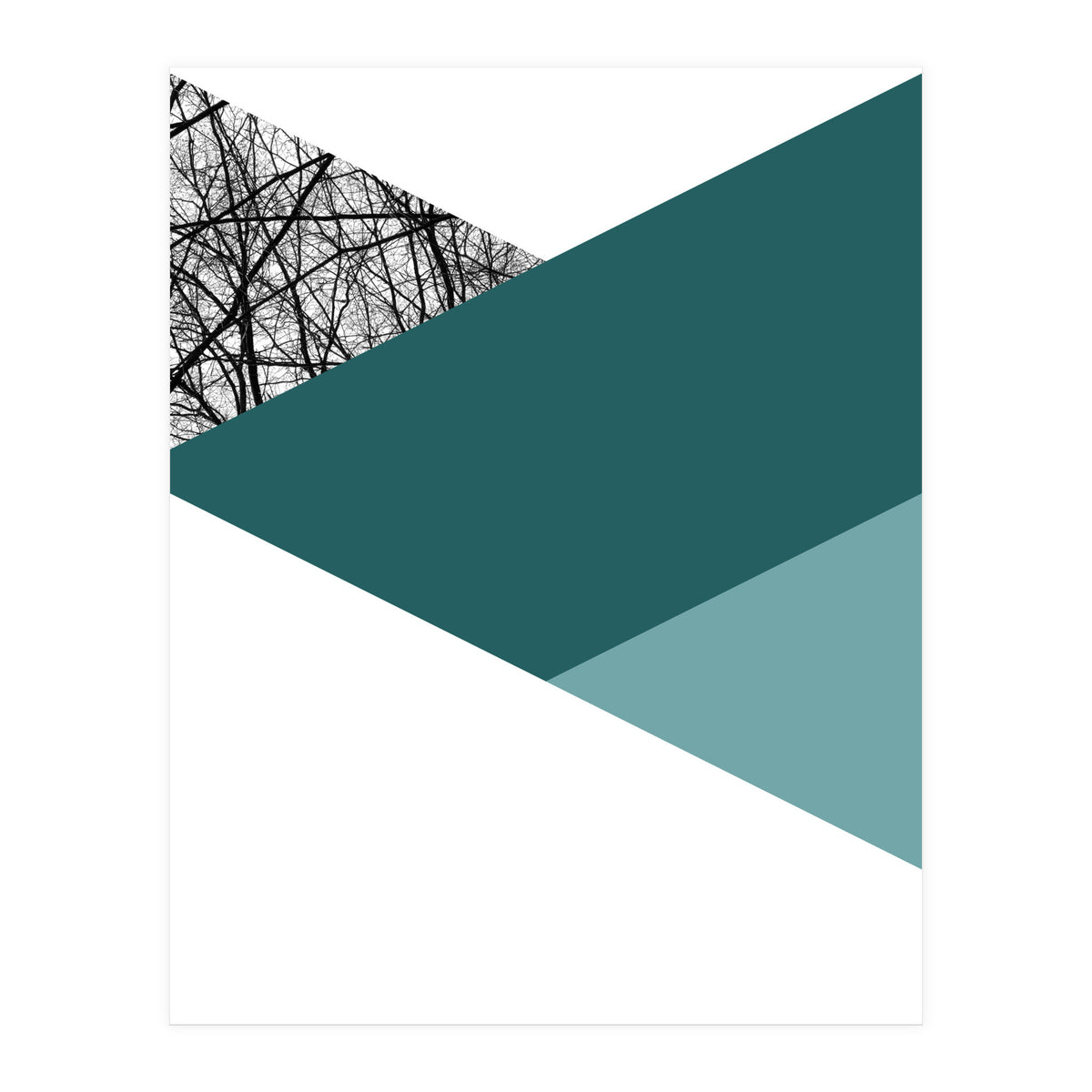 TRIWOOD I (Print Only)