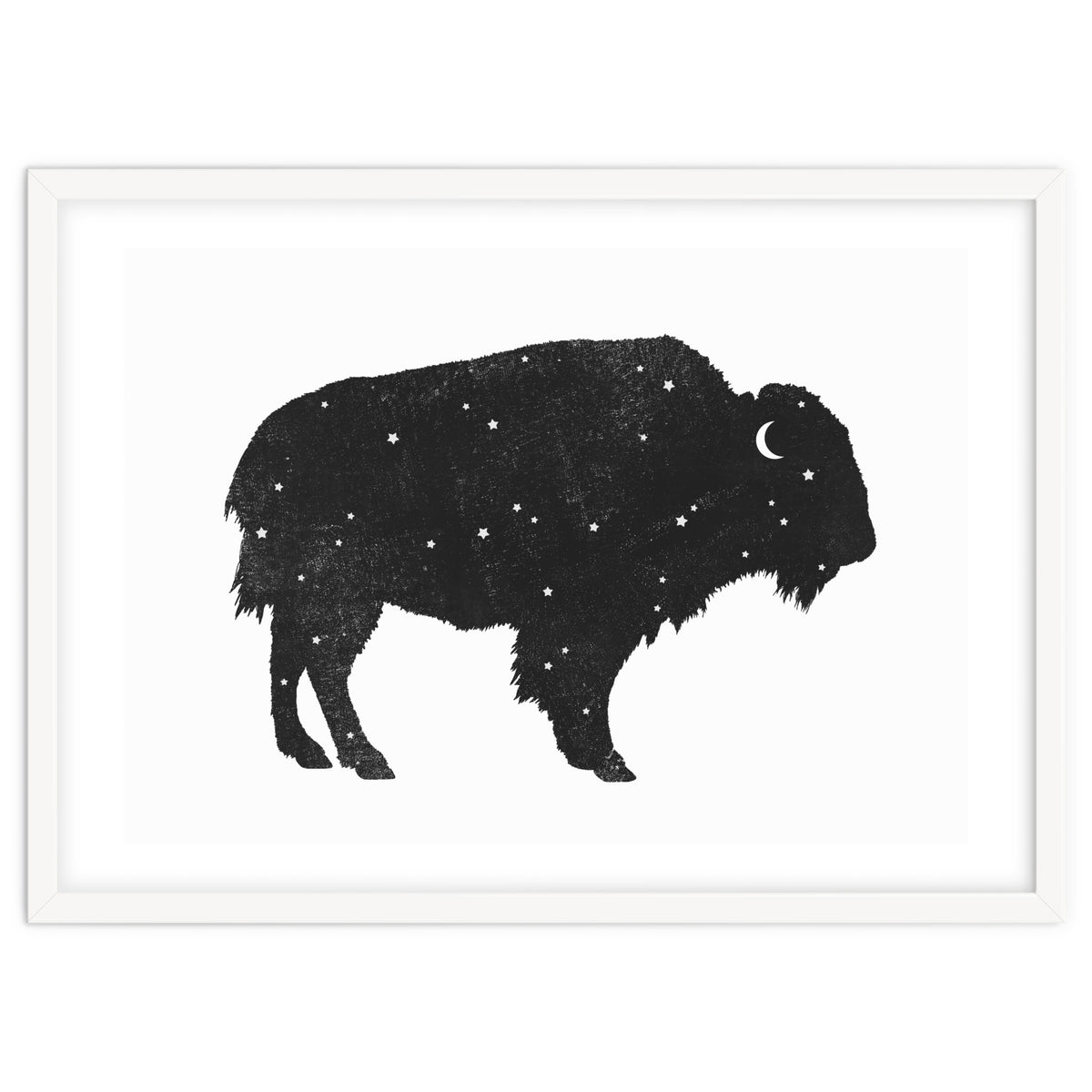 Mystic Buffalo