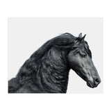 Friesian Horse (Print Only) thumbnail