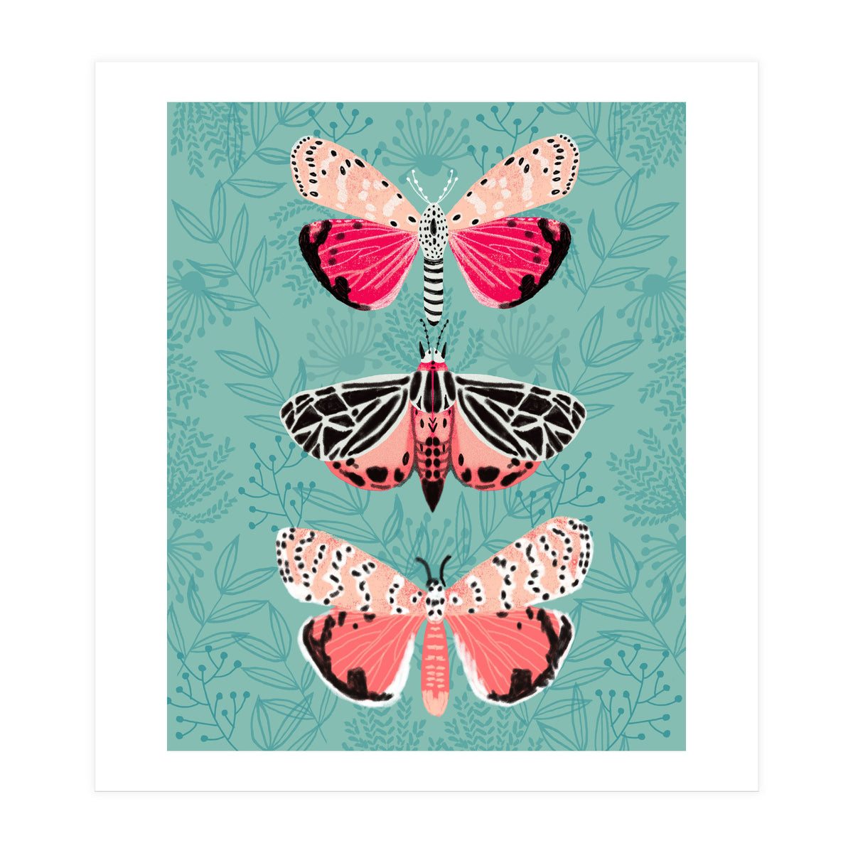 Lepidoptery Study No. 6 (Print Only)