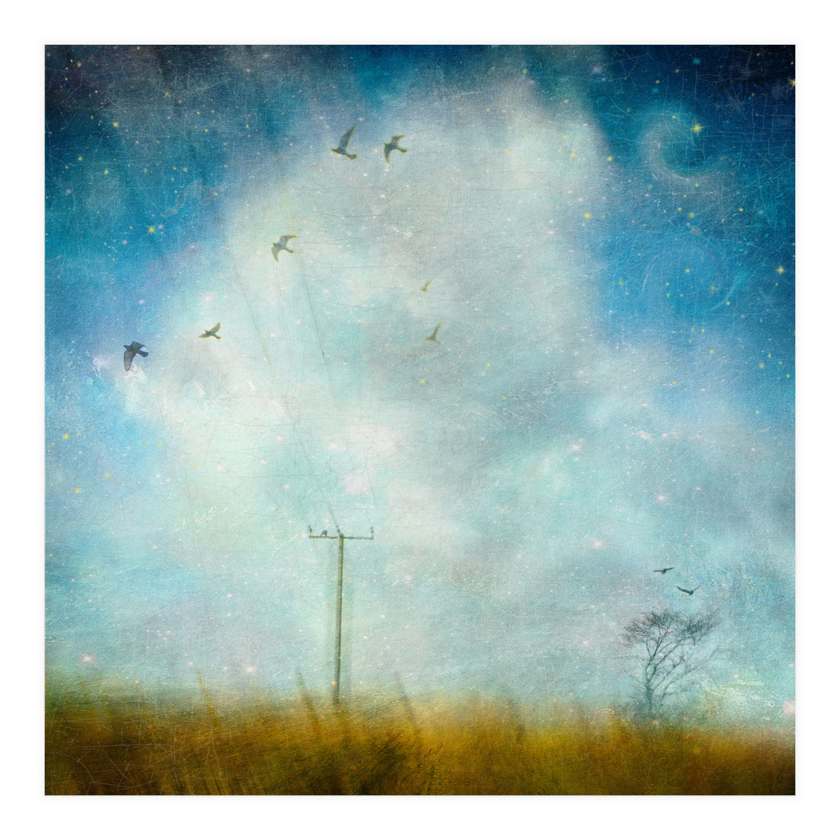 Silence, Shattered (Print Only)