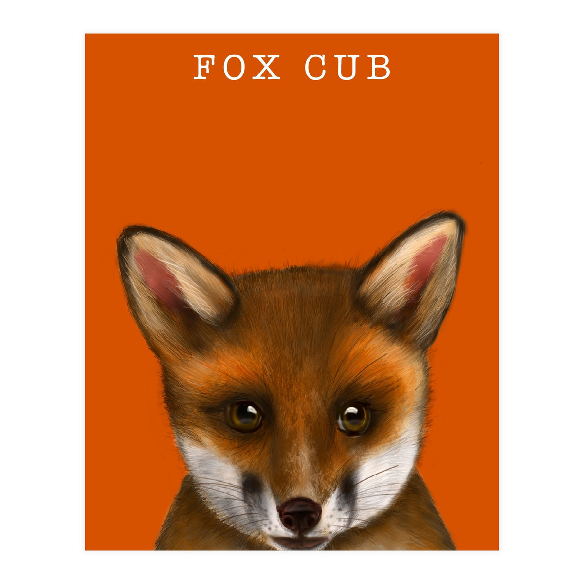 Fox Cub (Print Only)