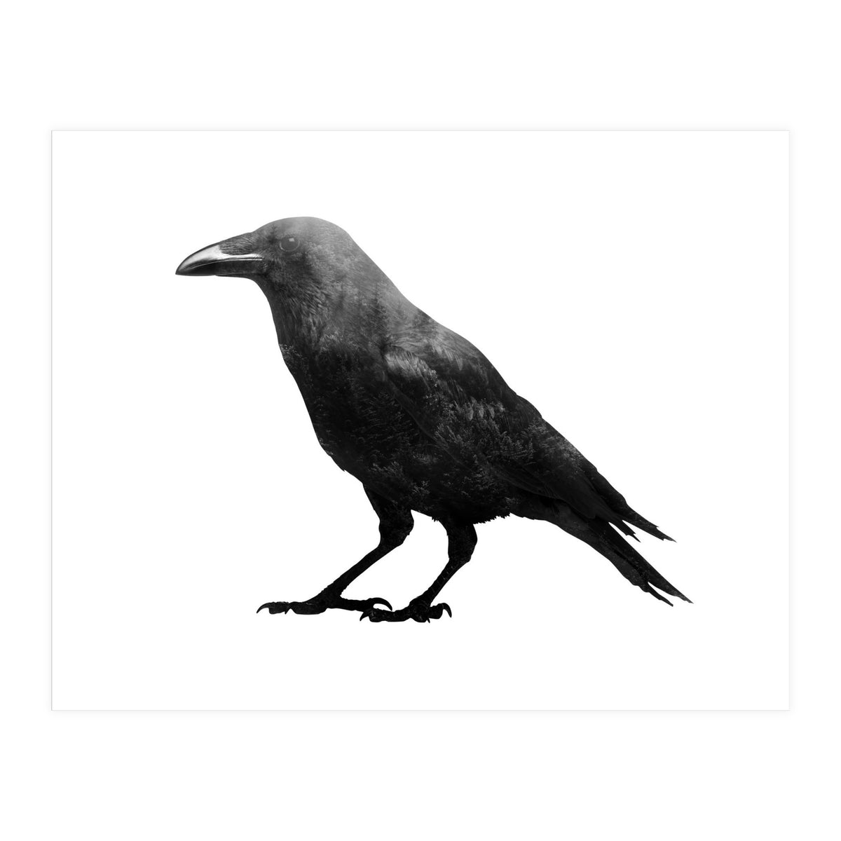 Crowscape (Print Only)