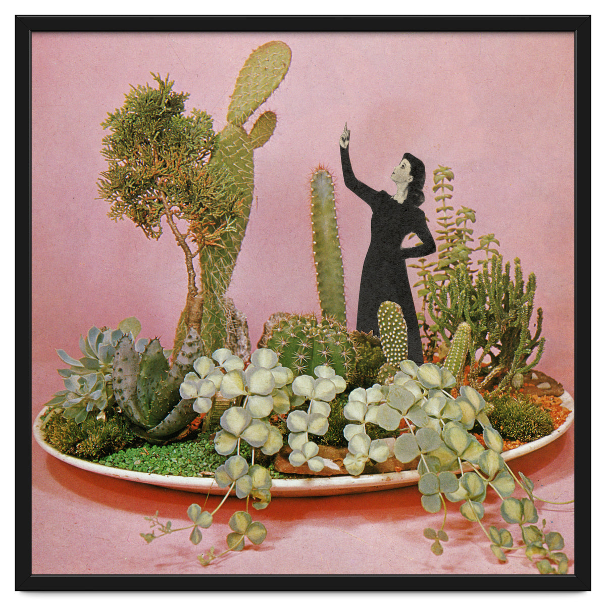 The Wonders Of Cactus Island