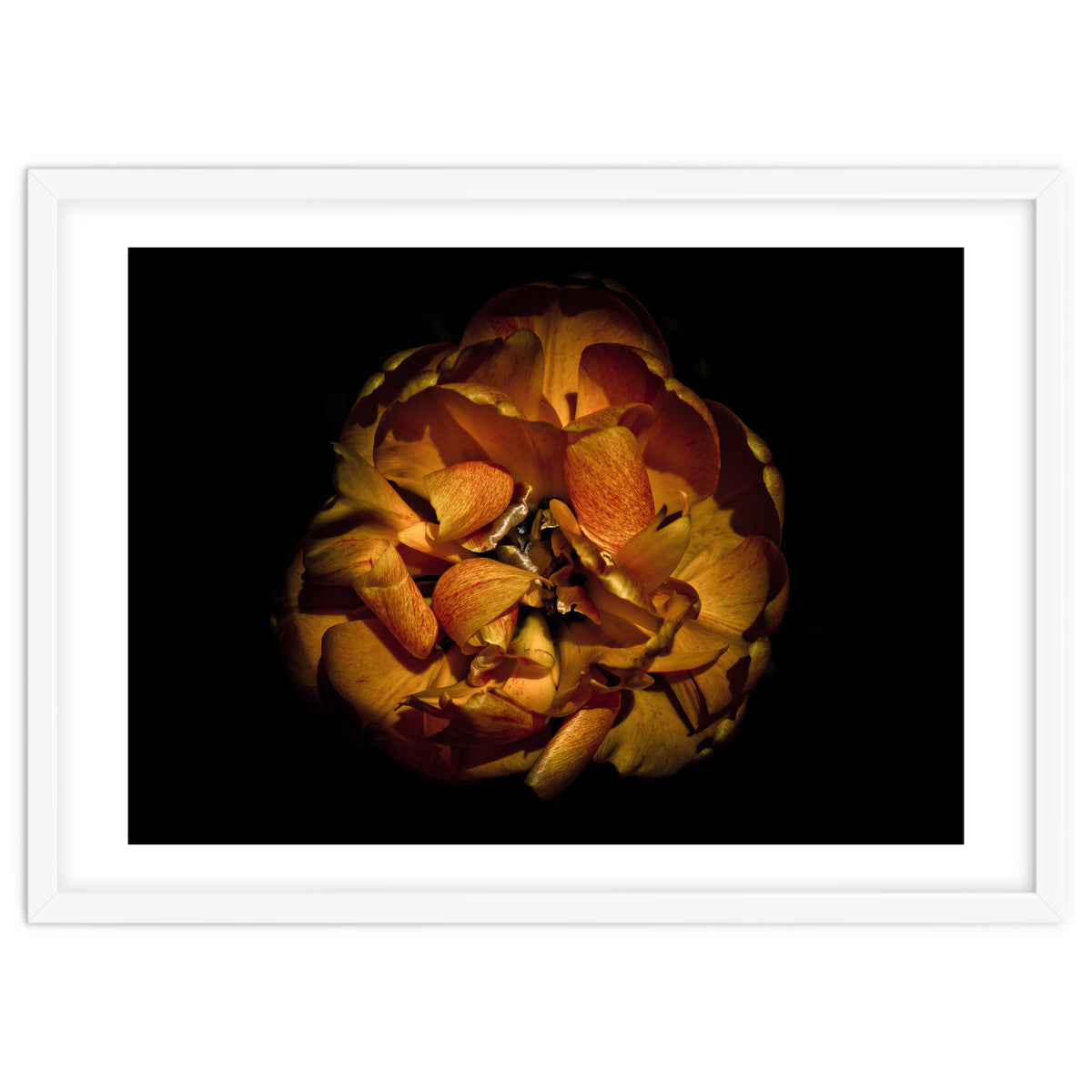 Backyard Flowers No 80 Color Version