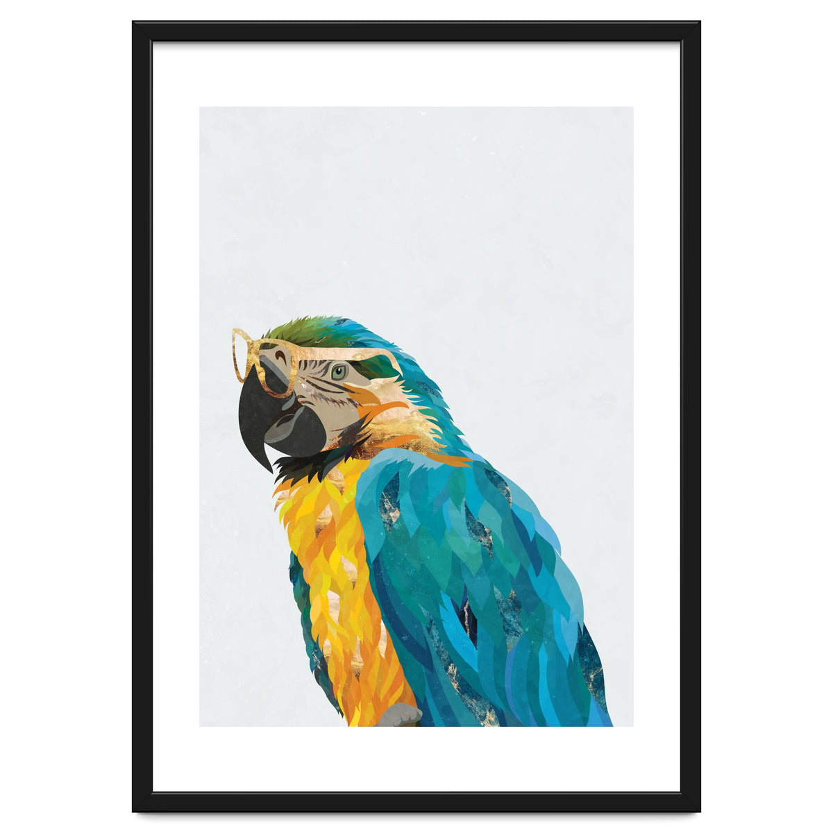 Macaw Portrait wearing gold glasses