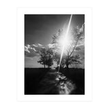 Walking on the shadows (Print Only) thumbnail