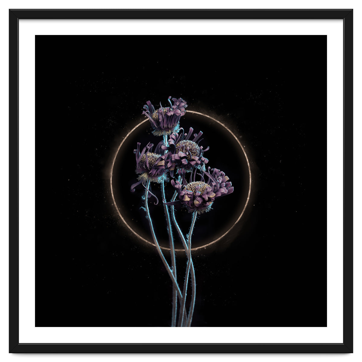 Candy-Coloured Mystery