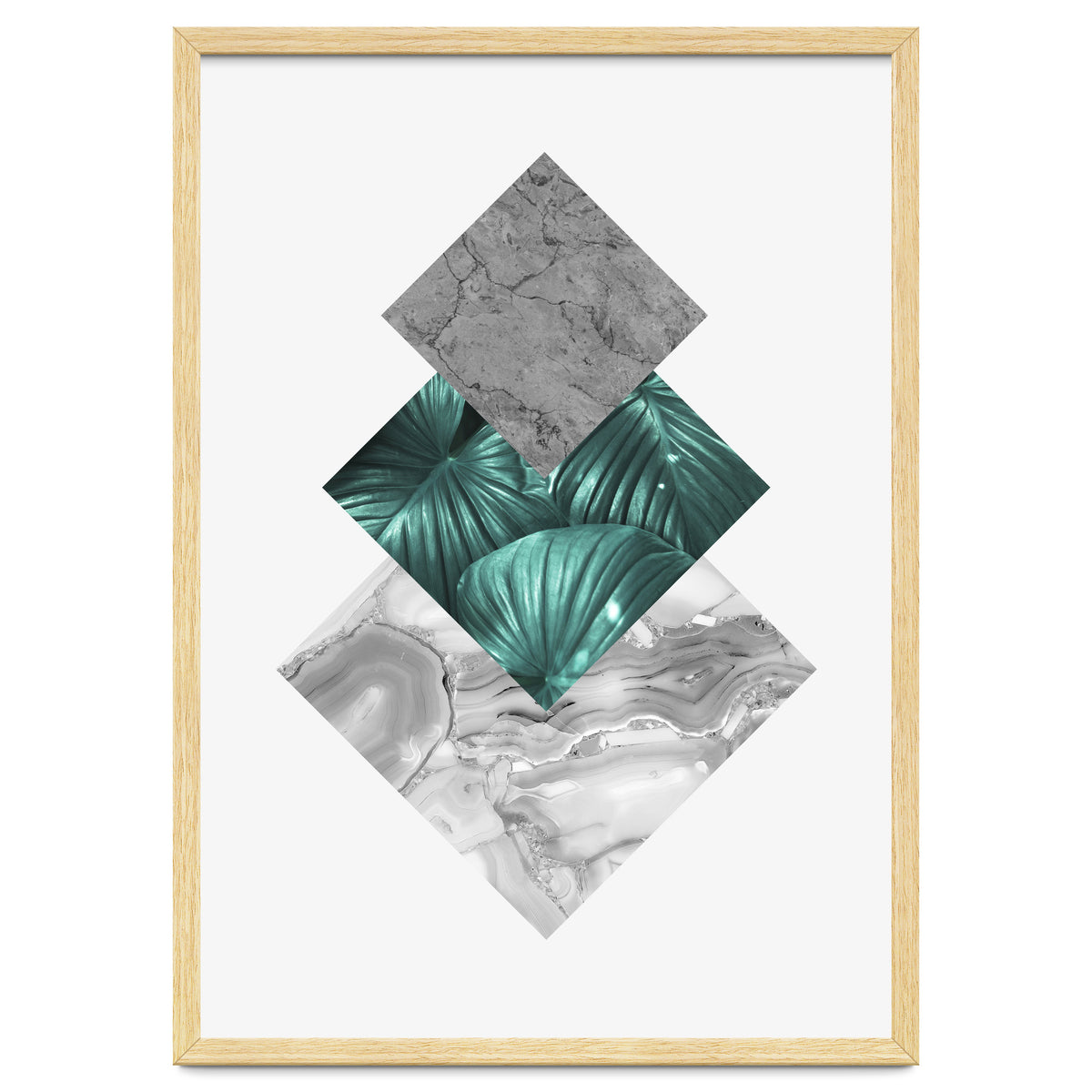 Botanical and geometric V