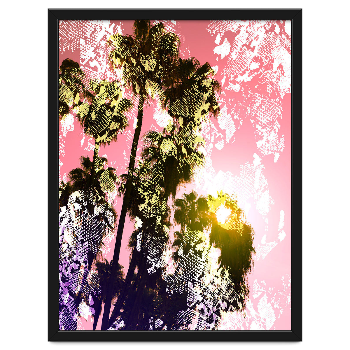 Snake sunset in paradise