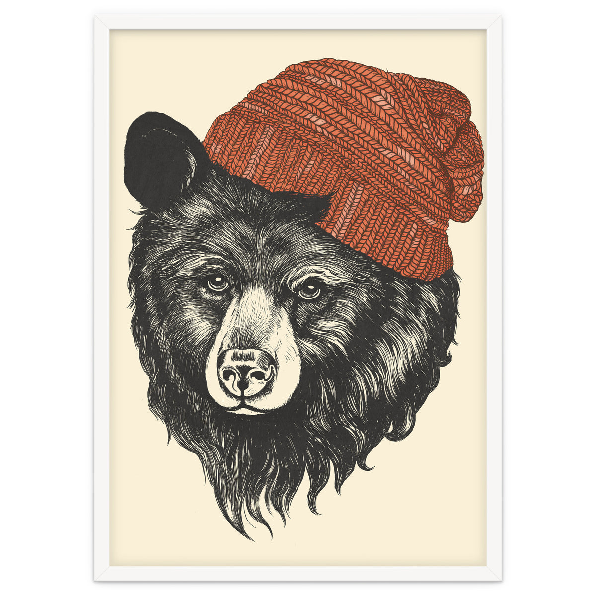 Zissou The Bear