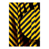 Dangerous Area 2 (Print Only) thumbnail