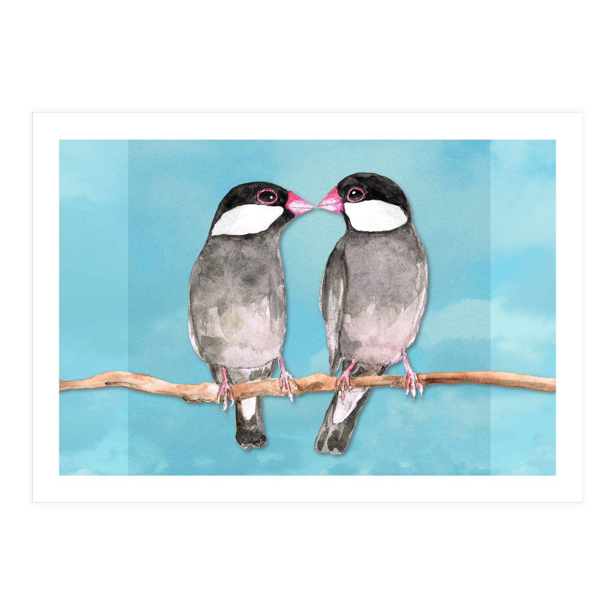 Two kissing Java sparrows (Print Only)