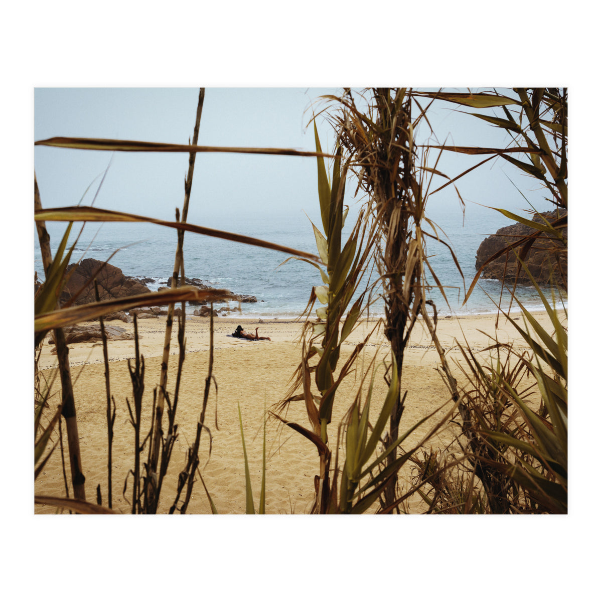 The Lure of a Tan (Print Only)