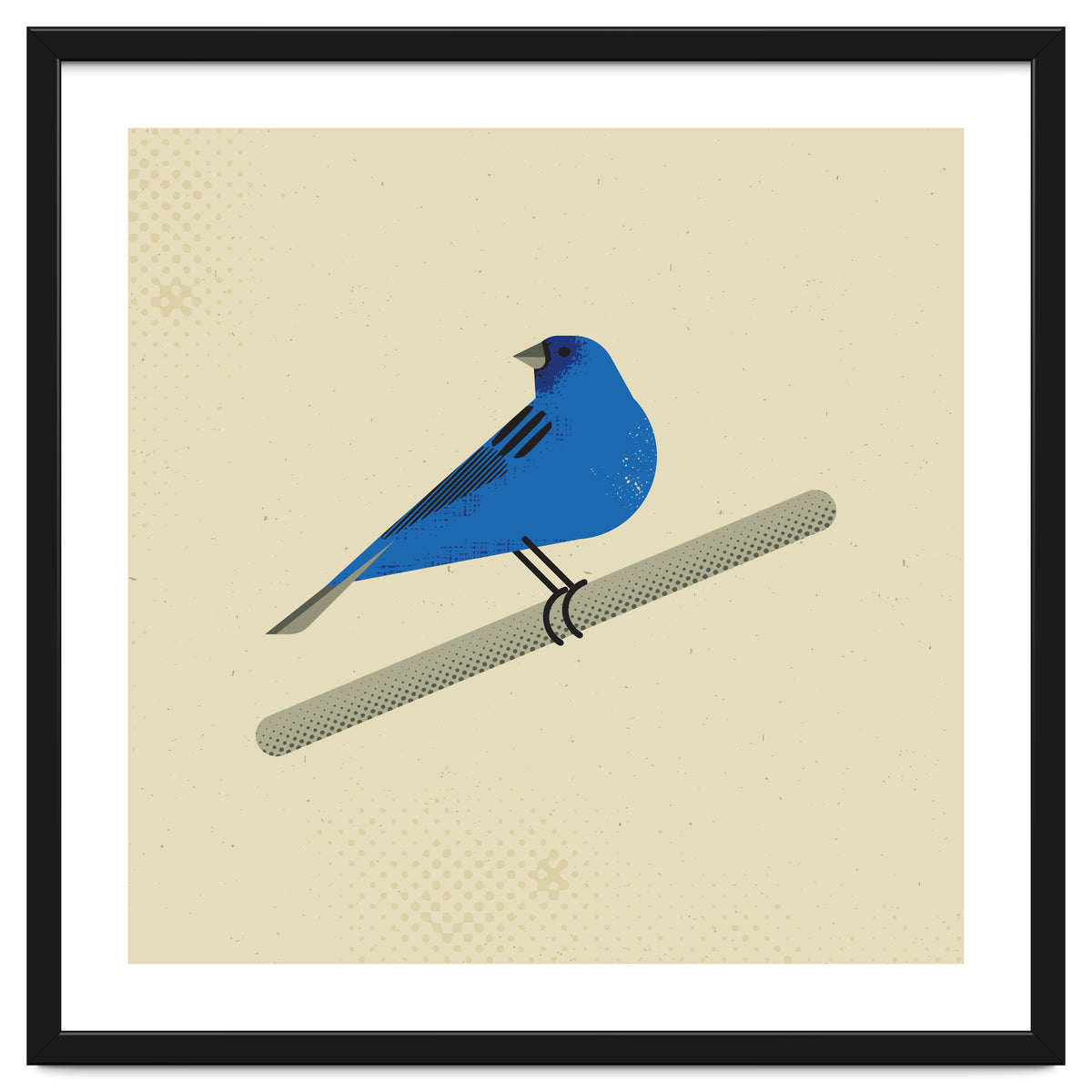 Indigo Bunting