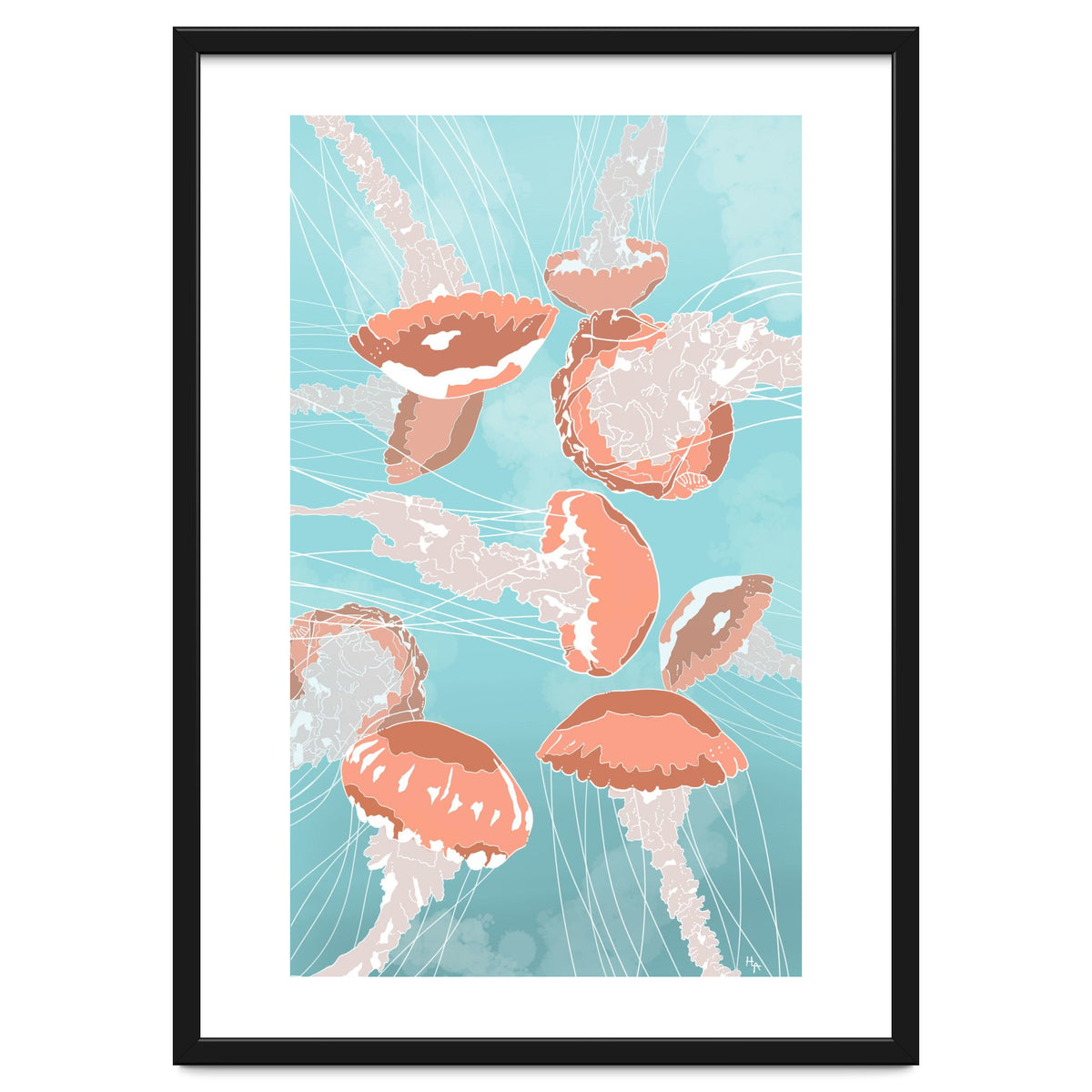 Jellyfish