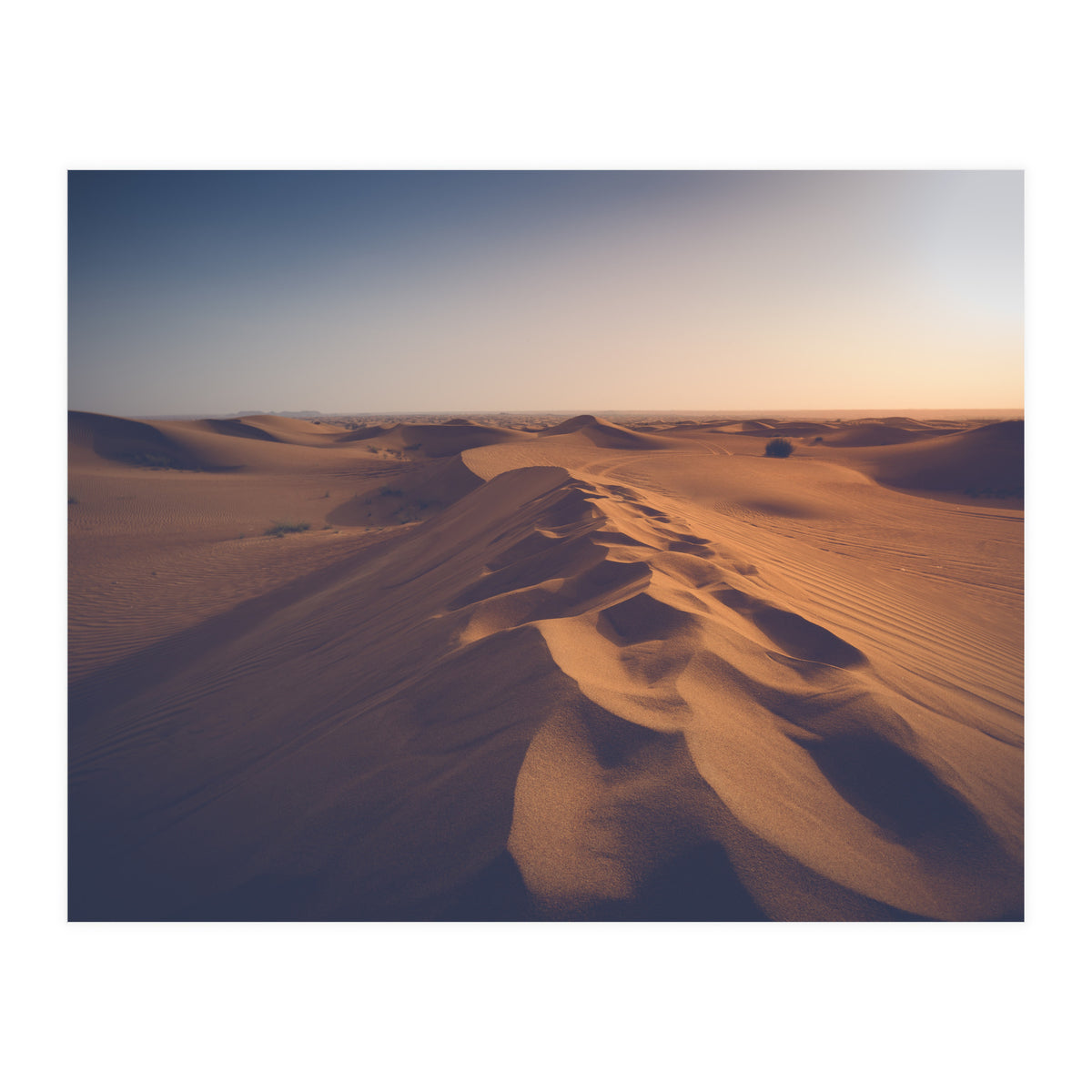 Caramel (Print Only)