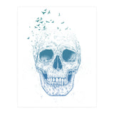 Let Them Fly Ii (Print Only) thumbnail
