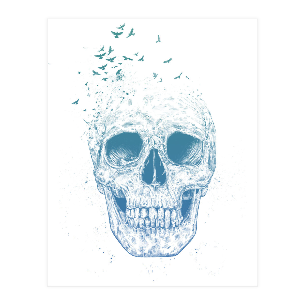 Let Them Fly Ii (Print Only)