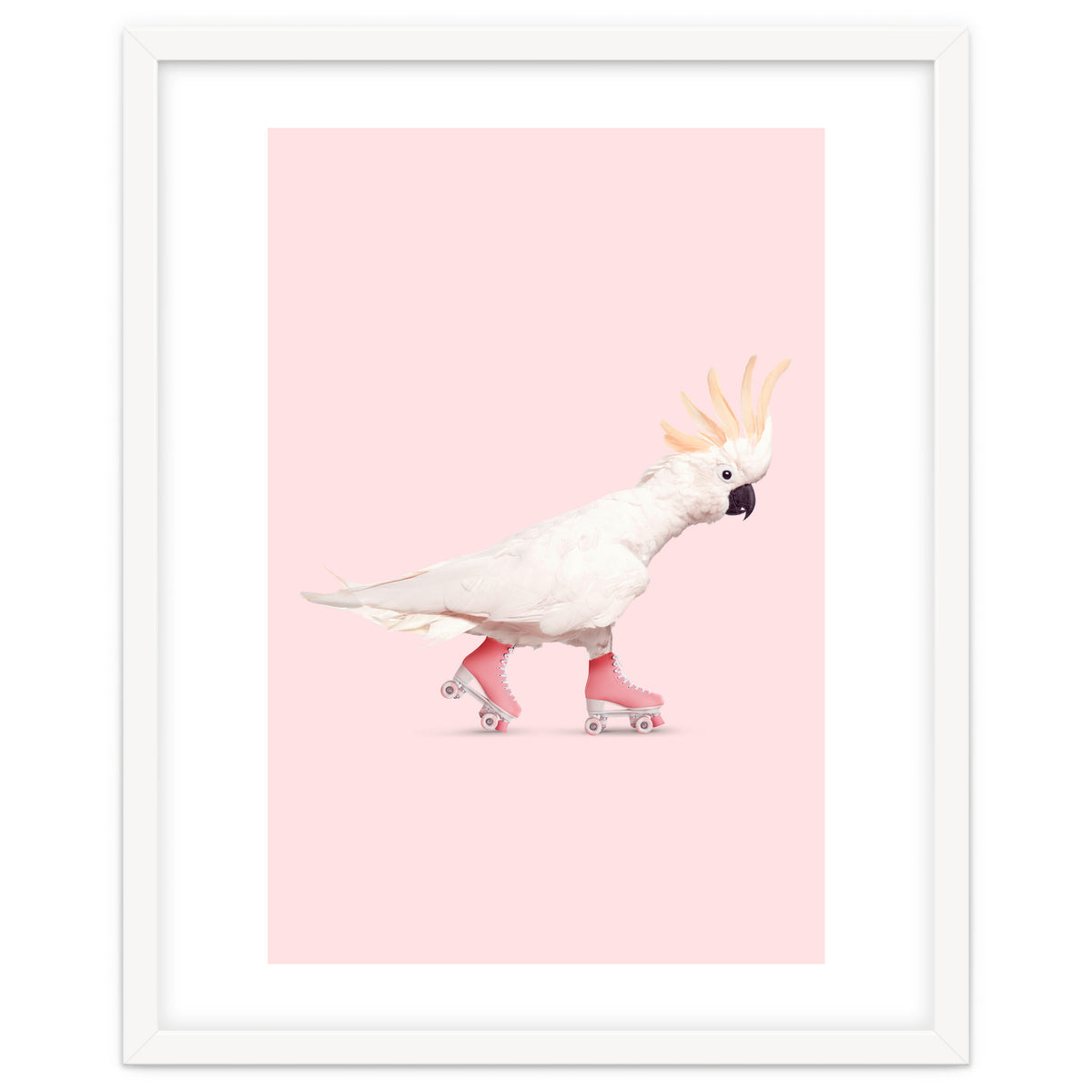 Rollerskating Cockatoo