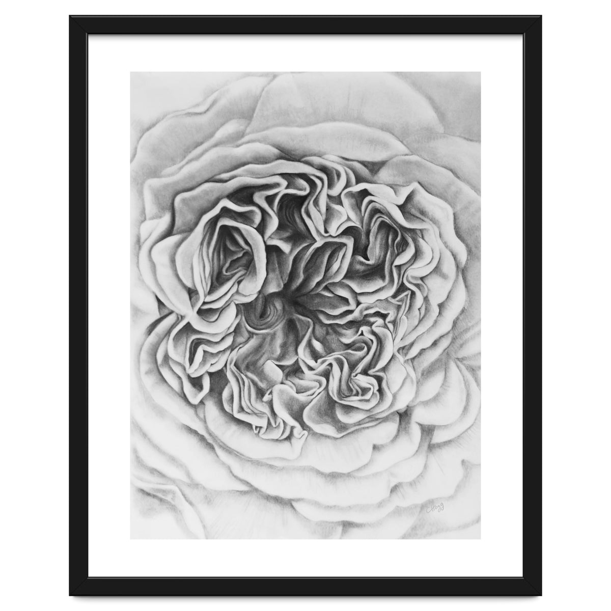 A Rose in Monochrome