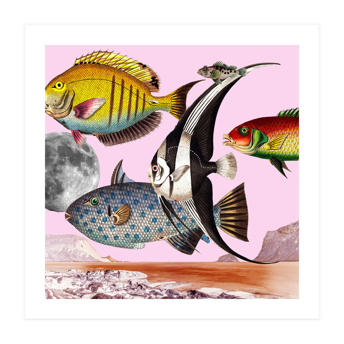 Fish World Pink (Print Only)