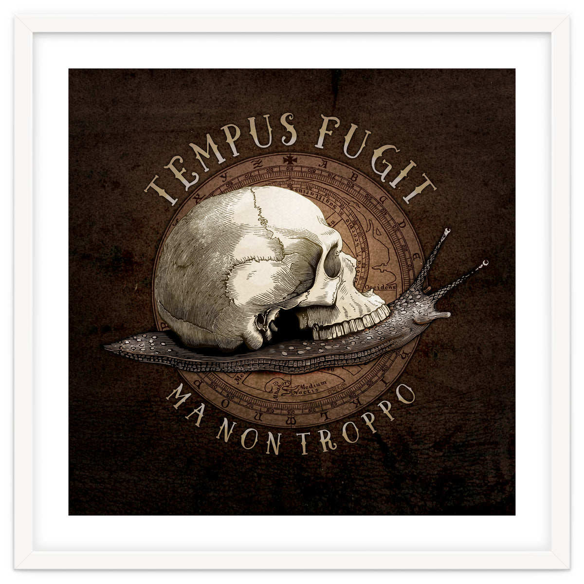 Tempus Fugit (ma non troppo)